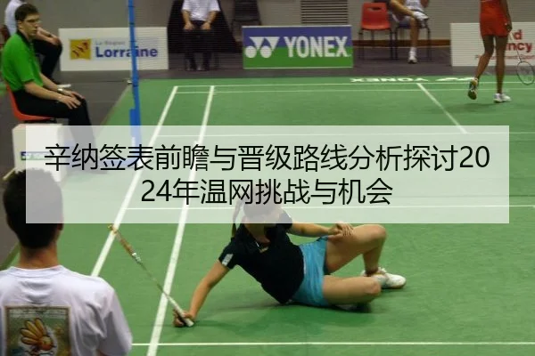 辛纳签表前瞻与晋级路线分析探讨2024年温网挑战与机会